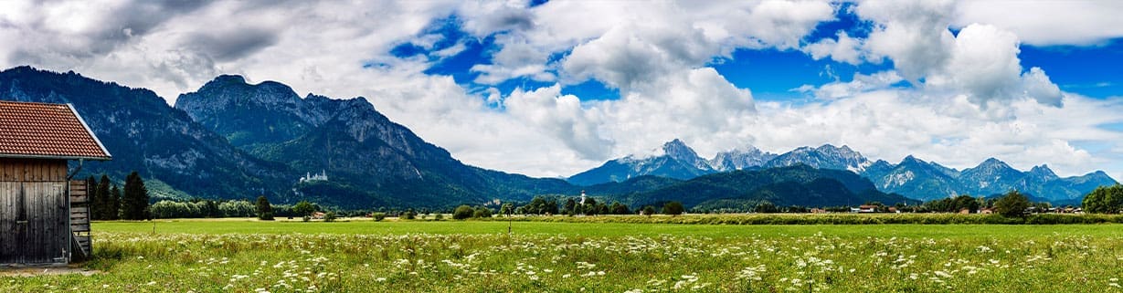 bayern03