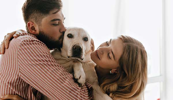 couple_dog_haustier_umzug