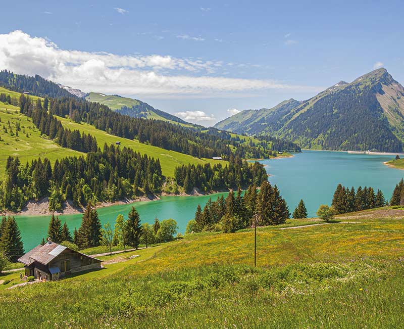 headerimage_umzug_schweiz