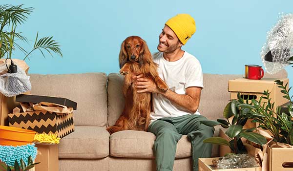 umziehen_mit_haustieren_hunde
